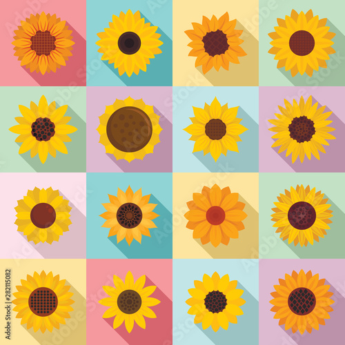 Sunflower icons set. Flat set of sunflower vector icons for web design