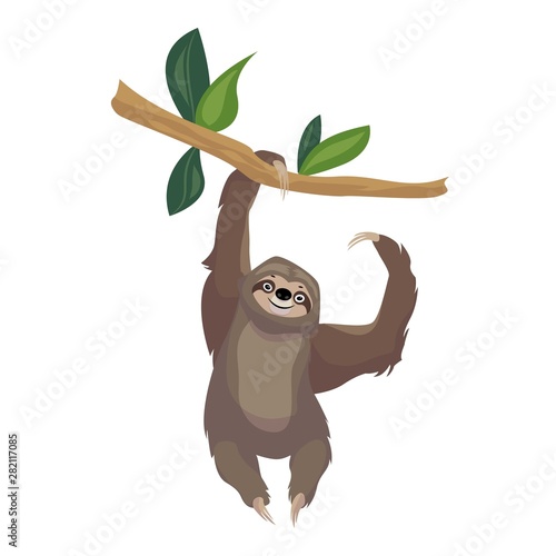 Sloth on tree branch icon. Cartoon of sloth on tree branch vector icon for web design isolated on white background