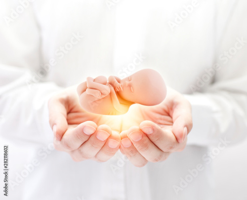 Canvas Print Human embryo in hands