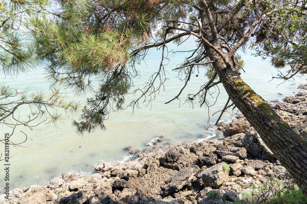 isolated beach on the island of Aix in Charente France