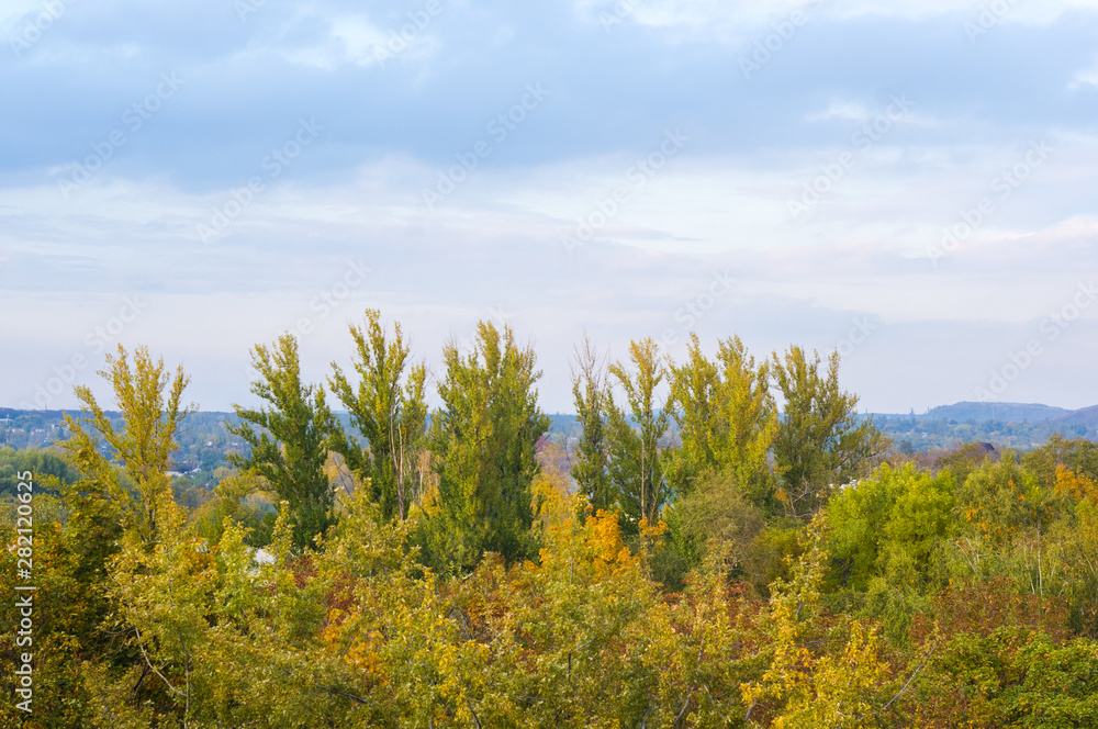 Urban autumn landscape with colorful trees in sunlight Urban autumn landscape with colorful trees in sunlight