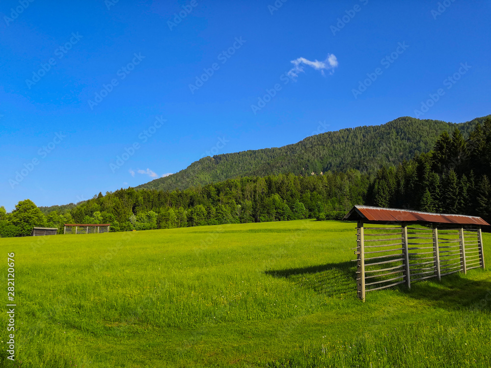 Beautiful Alpine landscape of meadow and mountains in Kransjka gora area, Slovenia.