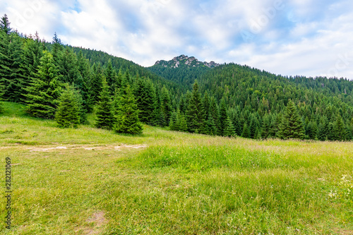 Maly Rozsutec mountain in the Mala Fatra Slovakia national park. Tourist destination for outdoor activities, hiking, trekking. Summer day. Meadow and forest near big rock © Martin