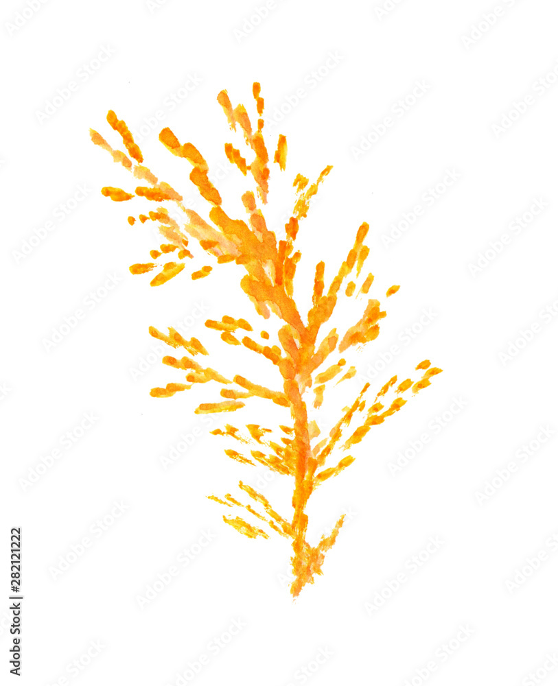 Watercolor yellow tree branch isolated on white background.Hand painting on paper. For wrapping paper, cards, posters, banners. Autumn holidays