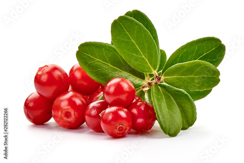 Canvas Print Fresh lingonberry with leaves, isolated on white background