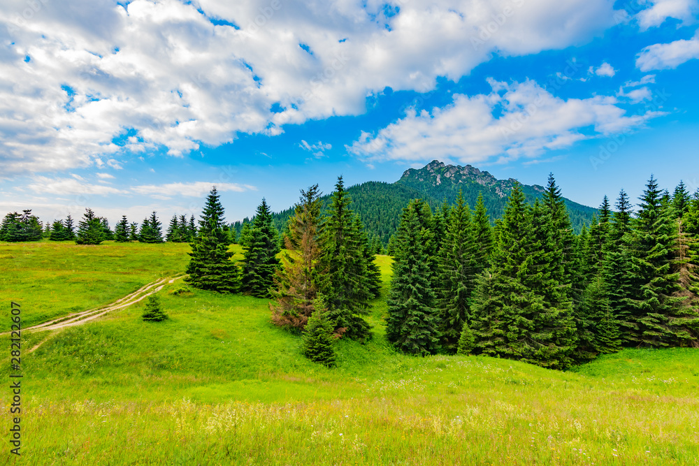 View of Mala Fatra, Slovakia national park. Tourist path near the Maly and Velky rozsutec mountains. Beautiful forest, trees and grass. Vibrant color in fresh nature