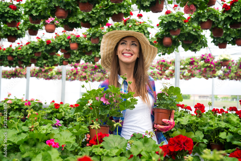 Pretty attractive woman florist working in greenhouse garden center arranging potted flowers for sale.