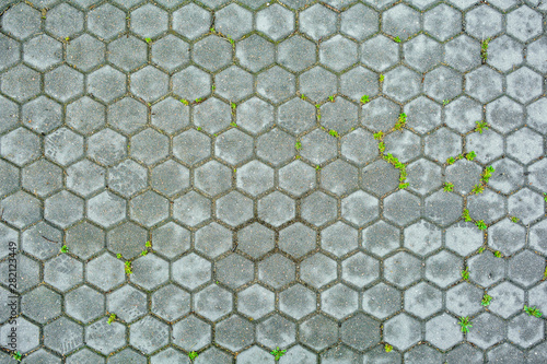 Hexagonal stone of pavement with grass. Texture of hexagonal cobble paving