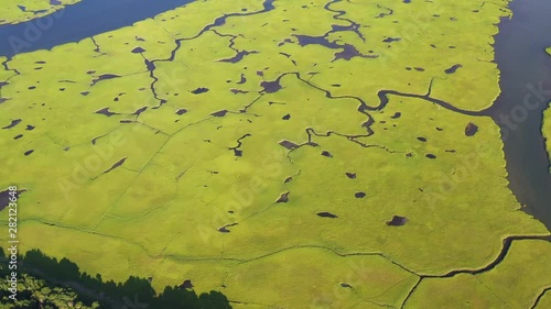 Narrow channels run through a healthy salt marsh on Cape Cod, Massachusetts. This type of marine habitat serves as a nursery for fish and invertebrates and a feeding ground for many species of bird. photo