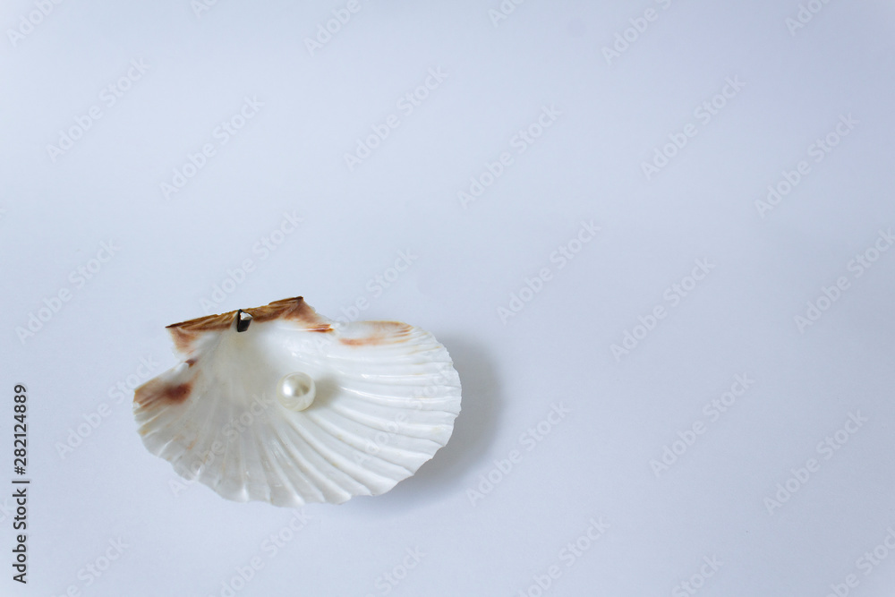 Naklejka premium one white beauty pearl inside of sea tropical shell on white background
