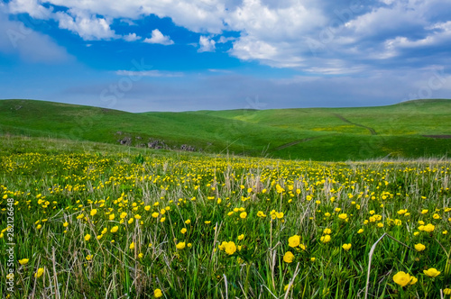 Beautiful summer landscape, yellow flower field on the hills