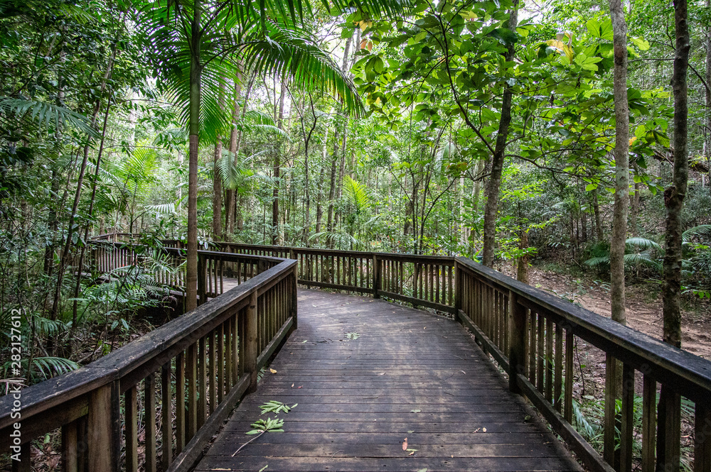 Forest path