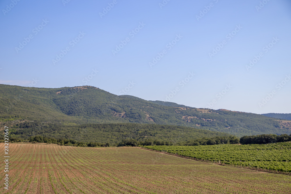 Russian mountains. Crimea. Summer mountains background. Forest and mountains in the sun on the background of a cloudy sky above the peninsula of Crimea. Sunny, bright, saturated raster photo