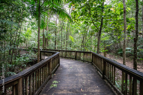 Forest path