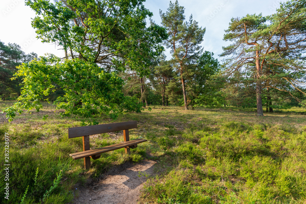 Behringer Heide in der Lüneburger Heide Behringer Heide in der Lüneburger Heide