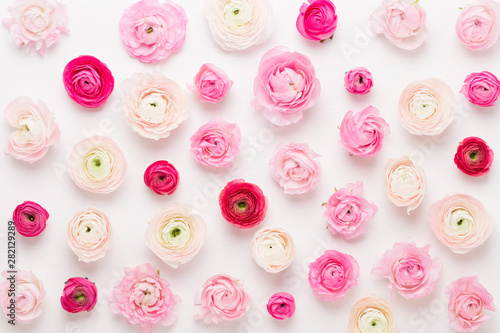 Beautiful colored ranunculu...