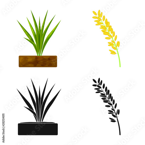 Vector design of crop and ecological sign. Collection of crop and cooking stock vector illustration.