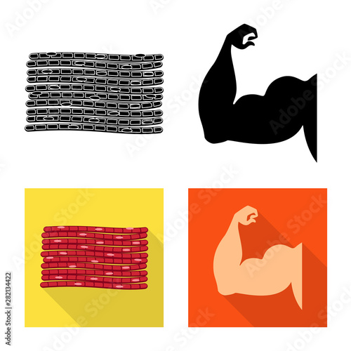 Vector illustration of fiber and muscular icon. Collection of fiber and body stock vector illustration.