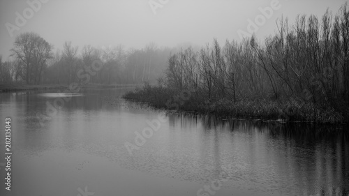 River and forest in the countryside in cloudy weather.