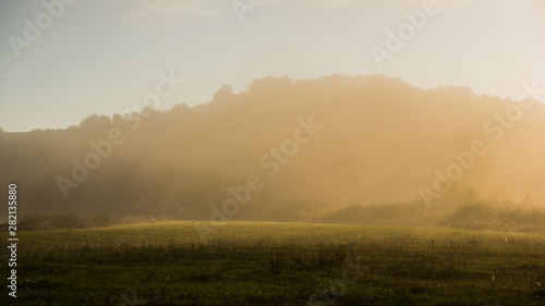 foggy morning in a meadow in a rural hilly region.