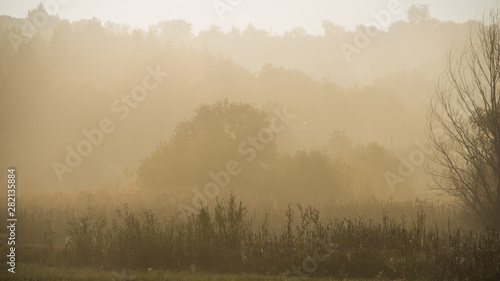 foggy morning in a meadow in a rural hilly region.