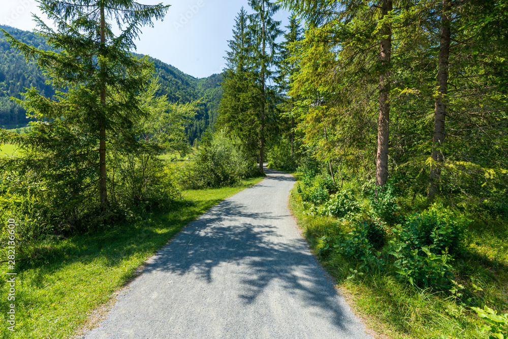 Gut ausgebauter Rad und Gehweg im Wald Gut ausgebauter Rad und Gehweg im Wald