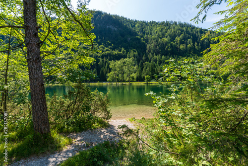Ufer am Pillersee