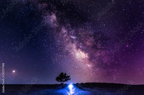 The Milky Way crossing the Sky above a tree in a lavender field.