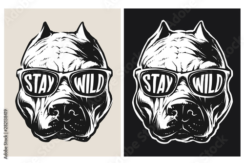 Vector Pit bull Head