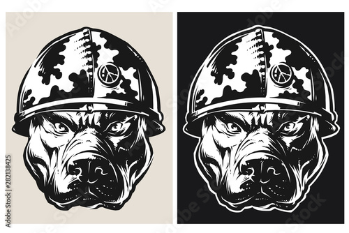 Vector Pit bull Head