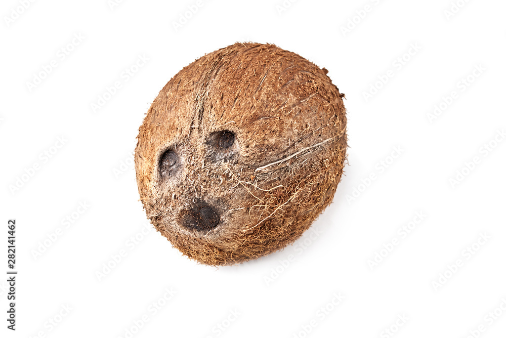 Full coconut isolated on a white background Full coconut isolated on a white background