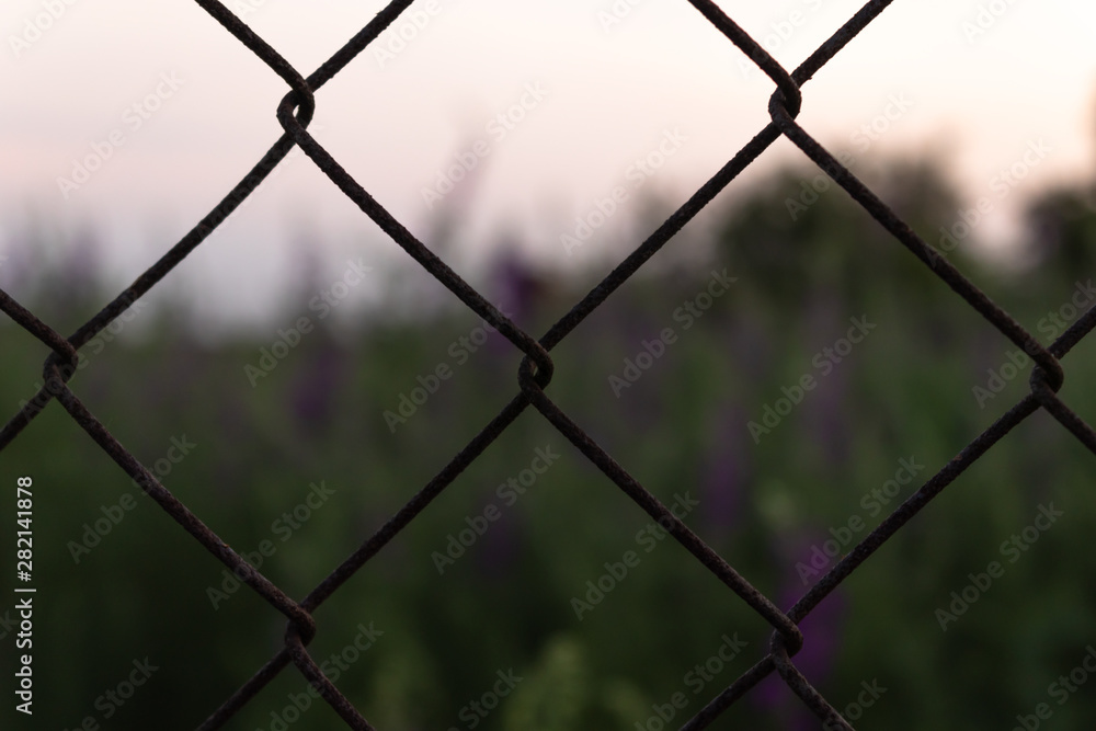 metal wicker net to protect the territory of a house in the countryside close-up on a background of grass metal wicker net to protect the territory of a house in the countryside close-up on a background of grass