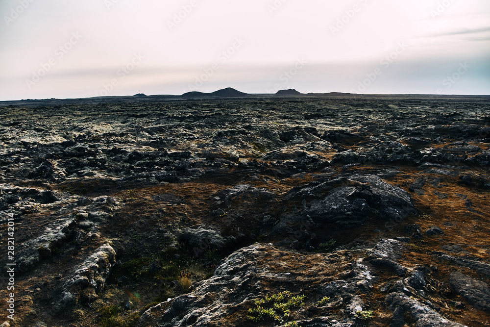 Magical mossy lava field