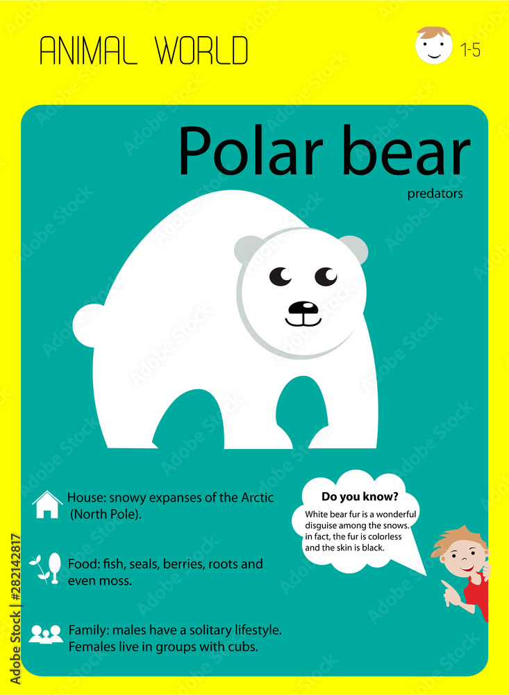 Polar bear. Educational flash cards for children. Nutrition, habitat ...