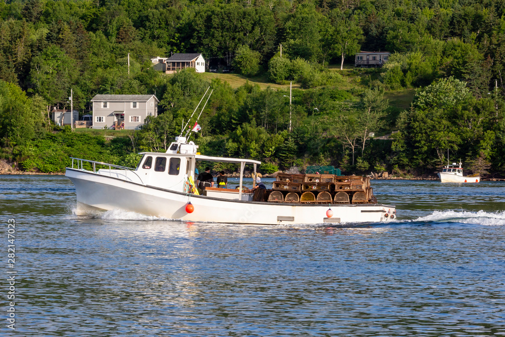 Obraz premium Collecting Traps