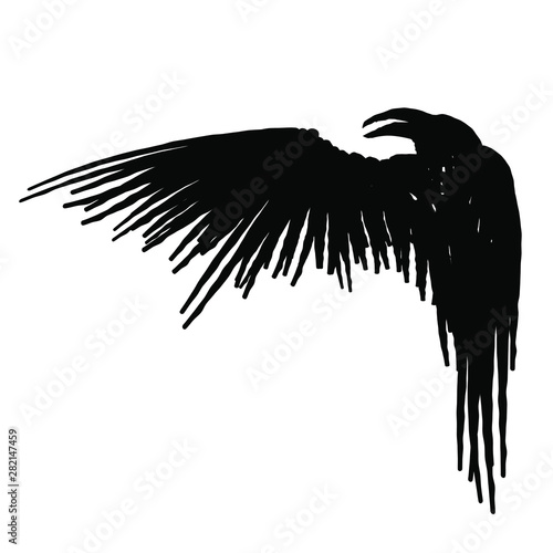 Black raven with wing isolated on a white background. Hand drawn illustration.