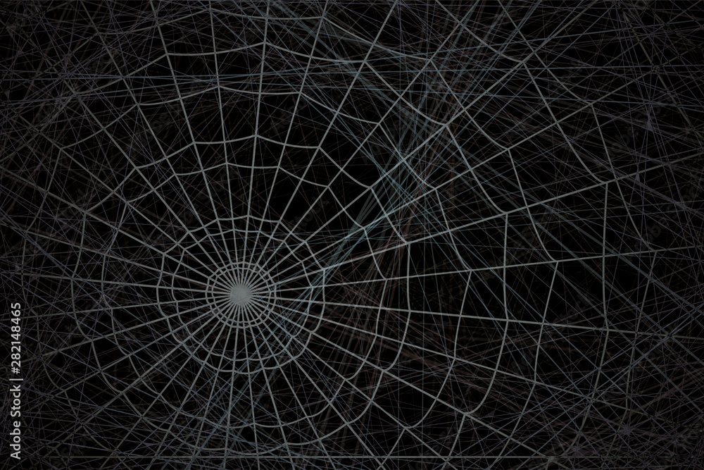 Fototapeta premium concentric white web on a gray background