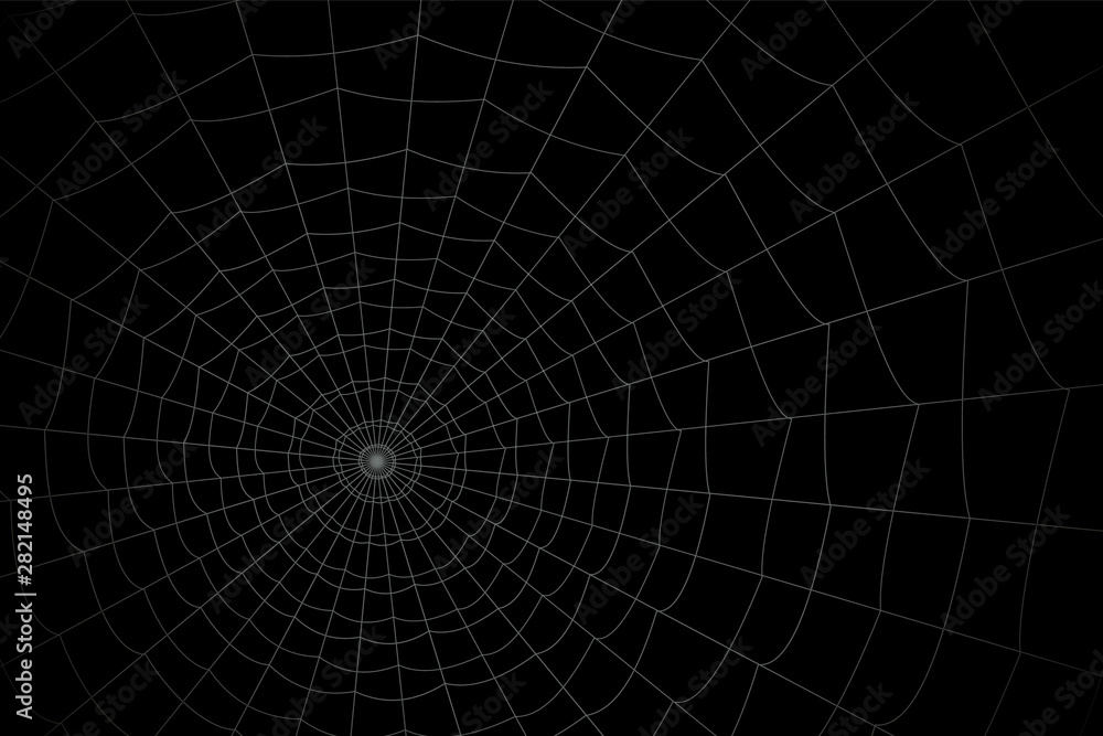 Fototapeta premium concentric white web on a gray background