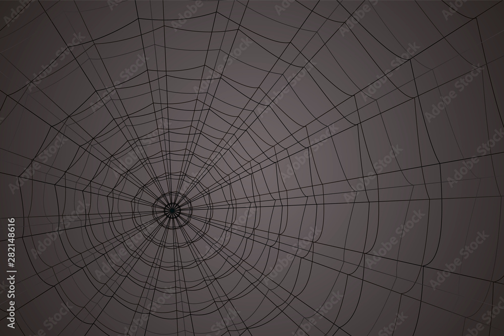 Obraz premium concentric white web on a gray background