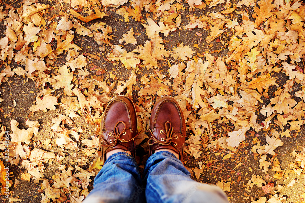 legs in brown shoes on the background of autumn leaves closeup. Autumn concept. legs in brown shoes on the background of autumn leaves closeup. Autumn concept.