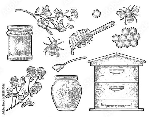 Honey set. Vector vintage black engraving isolated on white