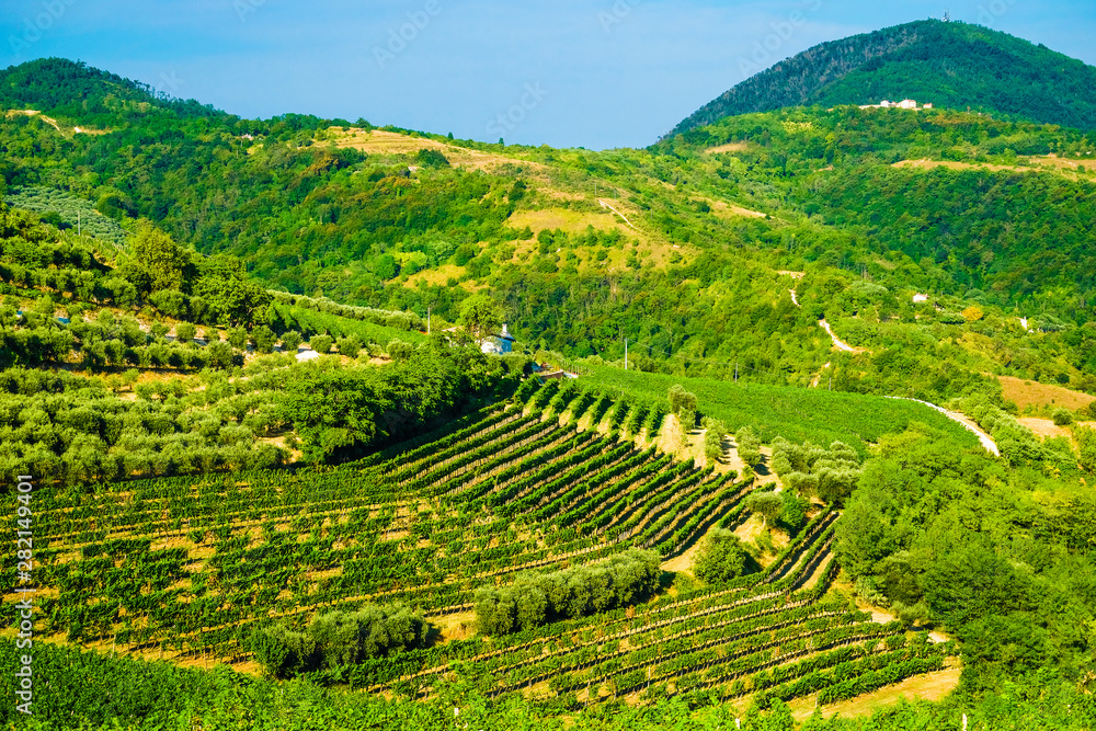 Landscape with the image of italian country side Landscape with the image of italian country side