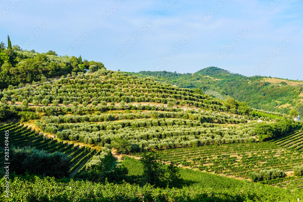 Landscape with the image of italian country side