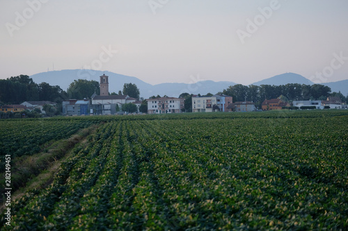 Landscape with the image of sunset in italian countryside