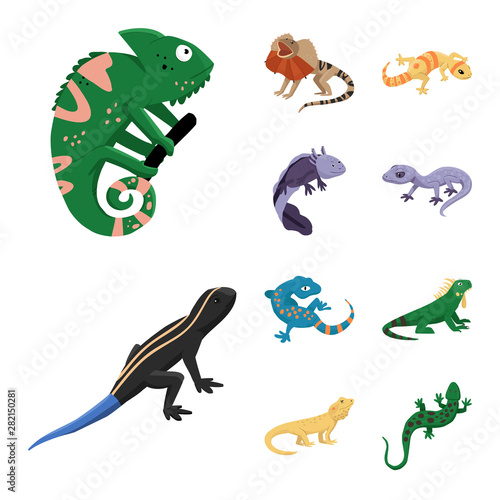 Isolated object of animal and reptile sign. Collection of animal and nature stock symbol for web.