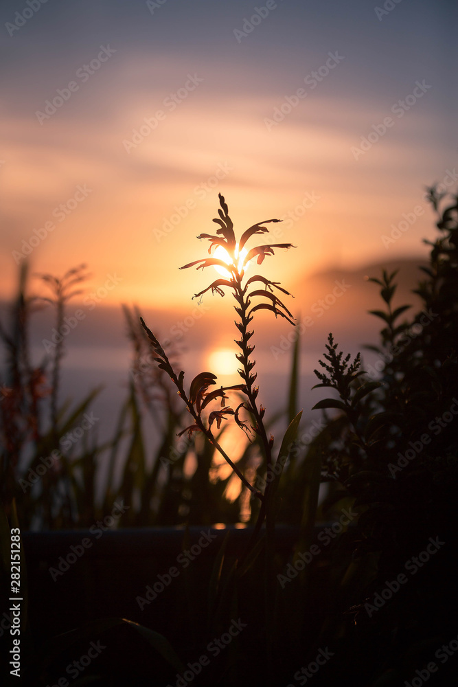 Obraz premium Eclipse