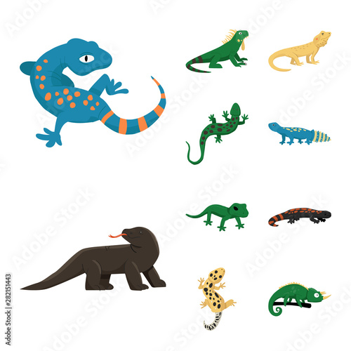 Vector design of animal and reptile logo. Collection of animal and nature stock symbol for web.