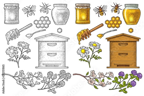 Honey set. Vector vintage color engraving isolated on white