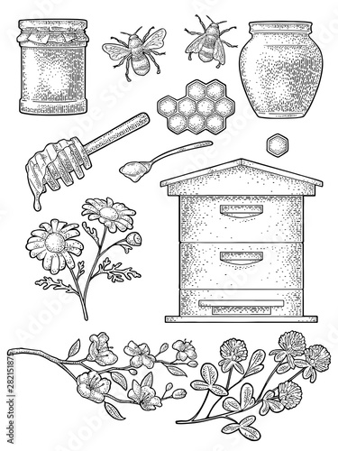 Honey set. Vector vintage black engraving isolated on white