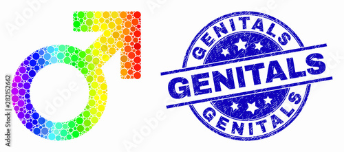 Pixel rainbow gradiented male symbol mosaic pictogram and Genitals seal stamp. Blue vector rounded grunge seal with Genitals caption. Vector composition in flat style.